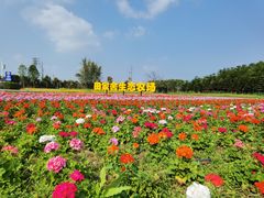 -迪茵湖田家舍生态农场