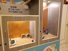 -同里湖度假村(二期店)