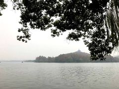 -西湖外事游船(花港观鱼码头)