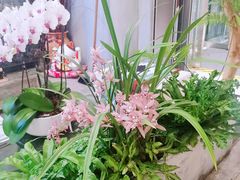 -PlantsEatery·植物食堂(REX春熙店)