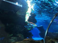 -石家庄海洋公园
