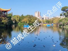 -翠湖公园