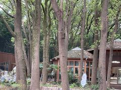 -同里国家湿地公园