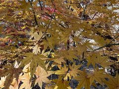 -青岛崂山太清宫