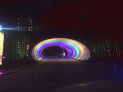 -枫花园汽车电影院(朝阳公园店)