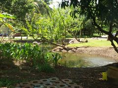 -三亚珠江南田温泉度假区