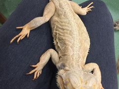 -藦茜花园宠物主题亲子互动体验馆(国顺东路店)