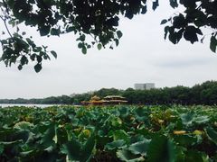 -西湖天地