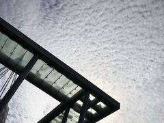 -吉林大学(前卫南区)
