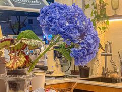 -绿小院(荔湾店)