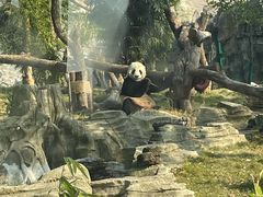 -武汉动物园