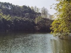 -重庆园博园