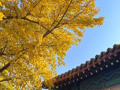 -北京石刻艺术博物馆(五塔寺)