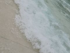 -重庆海昌加勒比海水世界