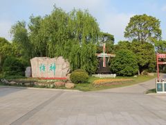 -上海鲜花港