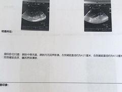 -宠颐生中康贝怡动物医院