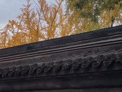 -北京国子监胡同