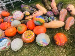 -前小桔亲子创意农场·草莓采摘·露营烧烤