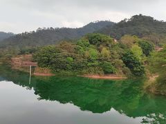 -佛山市三水区大南山森林公园