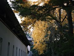-西园戒幢律寺