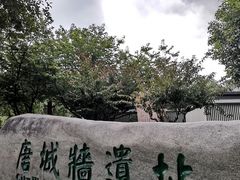-唐城墙遗址公园