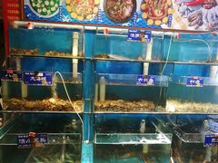 水产区-粥全粥到海鲜家常菜·海肠捞饭(嫩江路店)