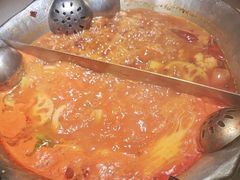 -渝大龙重庆火锅(温泉月亮湾店)