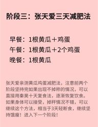 -Fundi张玉珊修身堂·indiba·BTL科技瘦身