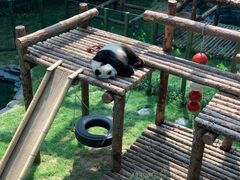 -大连森林动物园