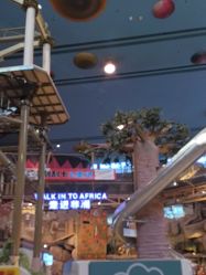 -卡通尼·Safari非洲探索乐园·生日会(金桥国际商业广场店)