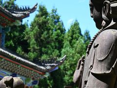 -武陵山森林公园
