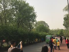 -奥林匹克森林公园南门-停车场