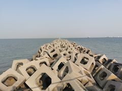 -东疆建设开发纪念公园