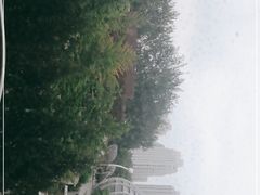 -凤凰中心