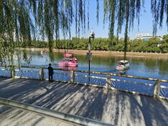 -莲花池公园