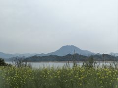 -逸廊大堂吧-下午茶·简餐-千岛湖自由洲际殿