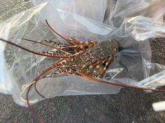 -兰坡海鲜市场
