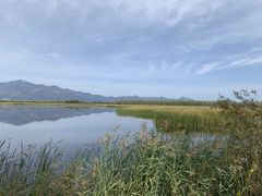 -野鸭湖国家湿地公园