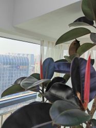 -HEYAN荷妍专业脱毛连锁机构