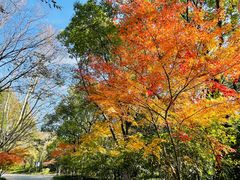 -上海吴淞炮台湾国家湿地公园