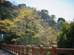 -杭州半山国家森林公园