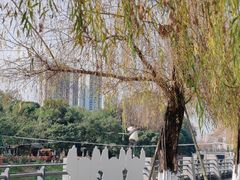 -成都市活水公园