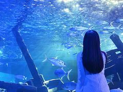 -江和美海洋公园