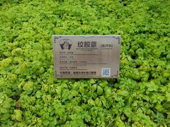 -广州神农草堂中医药博物馆