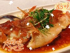 -拾宴(汇智国际商业中心店)