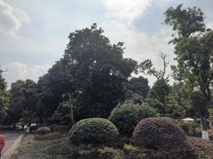 -张坝桂圆林公园