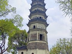 -苏州上方山国家森林公园