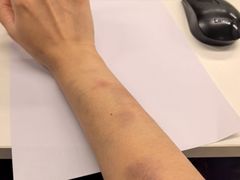 -温鉴良实用咏春拳