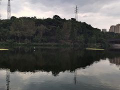-重庆彩云湖湿地公园