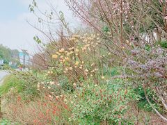 -杭州城北体育公园